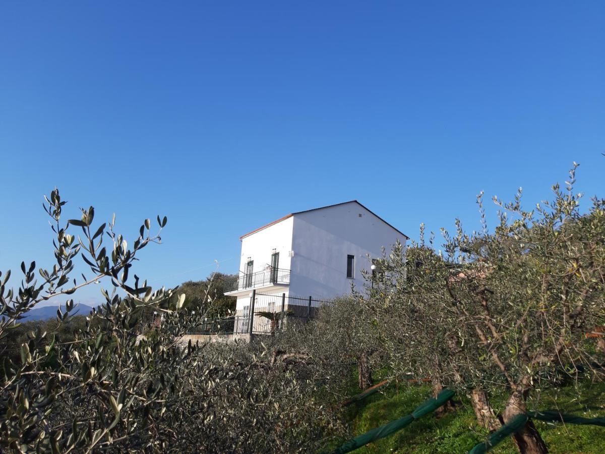 Sarina House Ocean View Villa Lavagna Dış mekan fotoğraf